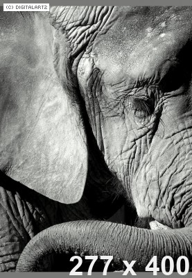 Circumstances – The System